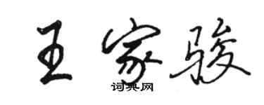 駱恆光王家駿行書個性簽名怎么寫