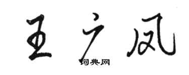 駱恆光王廣鳳行書個性簽名怎么寫