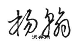 駱恆光楊翰草書個性簽名怎么寫
