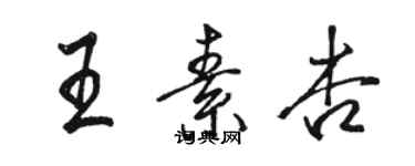 駱恆光王素杏行書個性簽名怎么寫