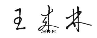 駱恆光王來林草書個性簽名怎么寫