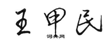 駱恆光王甲民行書個性簽名怎么寫