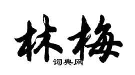 胡問遂林梅行書個性簽名怎么寫