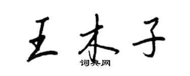 王正良王木子行書個性簽名怎么寫