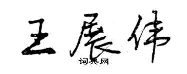 曾慶福王展偉行書個性簽名怎么寫