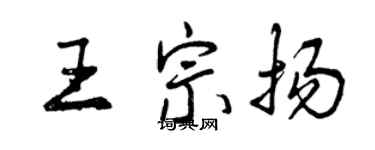 曾慶福王宗揚行書個性簽名怎么寫