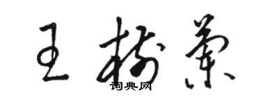 駱恆光王樹蘭草書個性簽名怎么寫