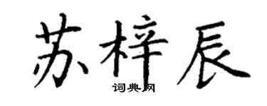 丁謙蘇梓辰楷書個性簽名怎么寫