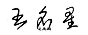 朱錫榮王名星草書個性簽名怎么寫