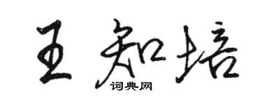 駱恆光王知培行書個性簽名怎么寫