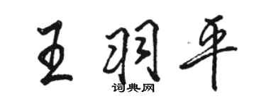 駱恆光王羽平行書個性簽名怎么寫