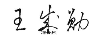 駱恆光王成勛草書個性簽名怎么寫