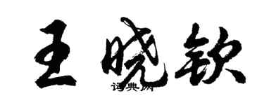 胡問遂王曉欽行書個性簽名怎么寫