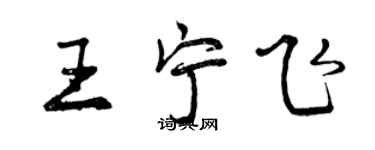 曾慶福王寧飛行書個性簽名怎么寫