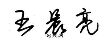 朱錫榮王晨亮草書個性簽名怎么寫