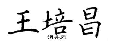 丁謙王培昌楷書個性簽名怎么寫
