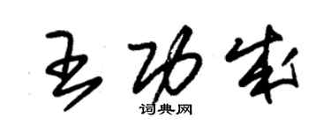 朱錫榮王功成草書個性簽名怎么寫