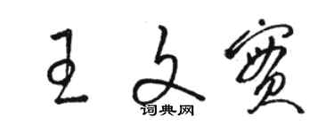 駱恆光王文實草書個性簽名怎么寫