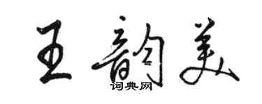 駱恆光王韻美行書個性簽名怎么寫