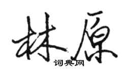 駱恆光林原行書個性簽名怎么寫