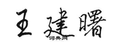 駱恆光王建曙行書個性簽名怎么寫