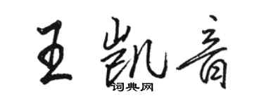 駱恆光王凱音行書個性簽名怎么寫