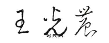 駱恆光王光農草書個性簽名怎么寫