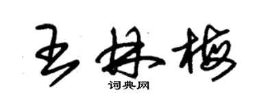 朱錫榮王林梅草書個性簽名怎么寫