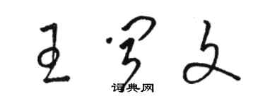 駱恆光王聞文草書個性簽名怎么寫