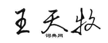 駱恆光王天牧行書個性簽名怎么寫