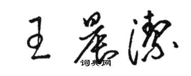 駱恆光王晨潔草書個性簽名怎么寫