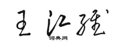 駱恆光王江維草書個性簽名怎么寫
