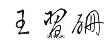 駱恆光王習硼草書個性簽名怎么寫