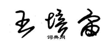 朱錫榮王培宙草書個性簽名怎么寫