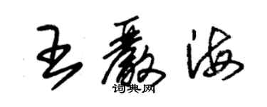 朱錫榮王嚴海草書個性簽名怎么寫