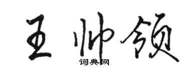 駱恆光王帥領行書個性簽名怎么寫