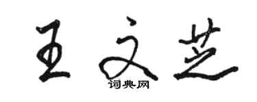 駱恆光王文芝行書個性簽名怎么寫