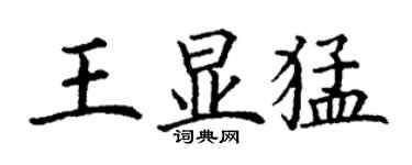 丁謙王顯猛楷書個性簽名怎么寫