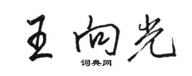 駱恆光王向光行書個性簽名怎么寫