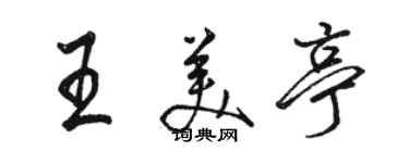 駱恆光王美亭行書個性簽名怎么寫