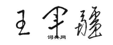 駱恆光王軍疆草書個性簽名怎么寫