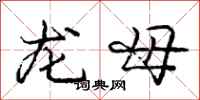 龐中華龍母行書怎么寫