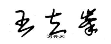 朱錫榮王立峰草書個性簽名怎么寫