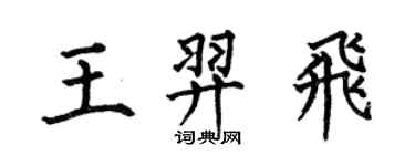 何伯昌王羿飛楷書個性簽名怎么寫