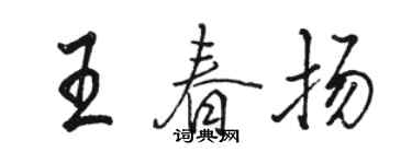 駱恆光王春揚行書個性簽名怎么寫