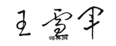 駱恆光王雪軍草書個性簽名怎么寫