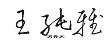 駱恆光王純雅草書個性簽名怎么寫