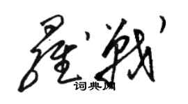 駱恆光羅戰草書個性簽名怎么寫