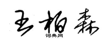 朱錫榮王柏森草書個性簽名怎么寫