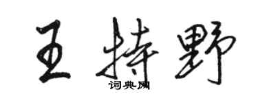 駱恆光王特野行書個性簽名怎么寫
